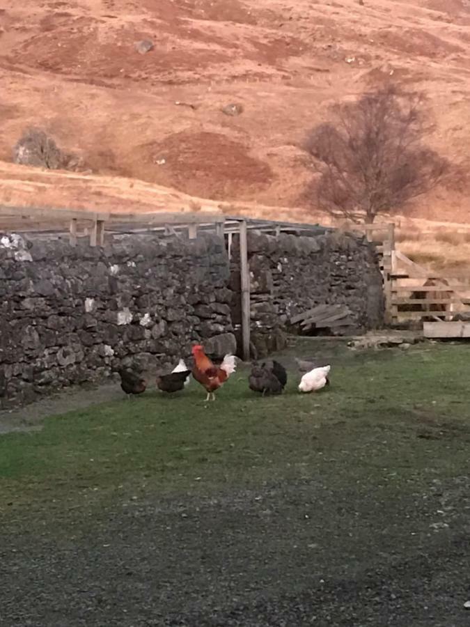 Garrison Of Inversnaid Farm With Hot Tub Exterior photo